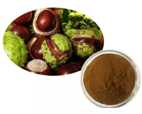 Extracto de castaño de indias el ingrediente principal de Hondrocream